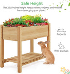 Yaheetech 34x18x30in Horticulture Raised Garden Bed 2pcs Planter Box with Legs & Storage Shelf Wooden Elevated Vegetable Growing Bed for Flowers, Backyard, Patio, Balcony, Light Brown