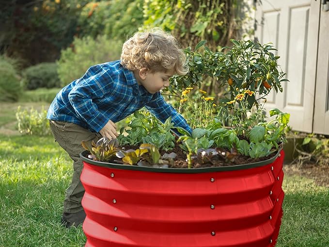 Plant & Plot Galvanized Raised Garden Beds Outdoor // 4×2×1 ft Planter Raised Beds for Gardening, Vegetables, Flowers // Large Metal Garden Box (Red)