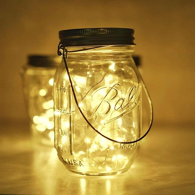 String Lights for Mason Jars, 12 Pack, 30 LED Warm White