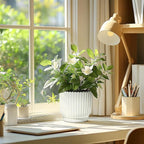 T4U 7 Inch Self Watering Pots for Indoor Plants, 4 Pack Plant Pots, Self Watering Planter for Indoor Plants, Durable Plastic Pots (4 Pack, 7", White)
