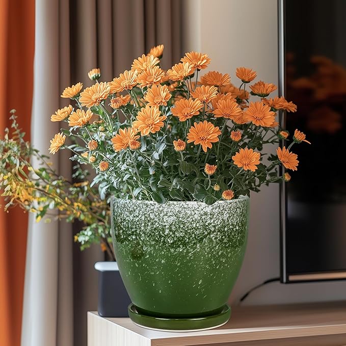 Ceramic Pots for Plants - 8 Inch Planter for Indoor Outdoor Plants, Round Planter, Large Flower Pot with Drainage and Saucer, Home Room Garden Office Decor, Birthday Gifts, Green