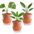 D'vine Dev 4 Inch Design Self Watering Pot for Indoor Plants, Terracotta Planter with Cylinder Glass Cup, Set of 3, 37-Z-A-1-T