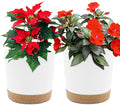 QCQHDU 6.5 inch Plant Pot, 2 Pack Planters for Indoor Plants with Drainage Holes & Saucer, Outdoor Flower Pots Home Garden Modern Decor