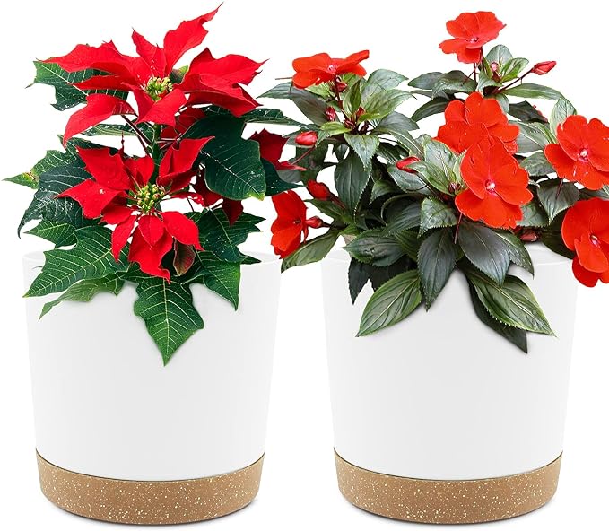 QCQHDU 6.5 inch Plant Pot, 2 Pack Planters for Indoor Plants with Drainage Holes & Saucer, Outdoor Flower Pots Home Garden Modern Decor