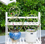 2PCS Hoya Trellis Plant Support Indoor Metal Frame Unique Trellis for Climbing Plants Potted Hoya Pots Small Houseplant Vine Support for Plant Lovers Home Decor