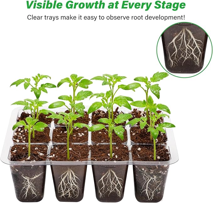 Bonviee 12 Packs Seed Starter Tray with Drainage Holes, Reusable & Durable, Clear for Root Monitoring, Easy to Repotted Without Root Damage, 12 Cells per Tray