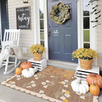 Outdoor Rug, 3x5 Tan Floral Entry Mat, Machine Washable