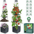 Raised Garden Bed Tomato Planter with Trellis, 58" Tomato Cage for Climbing Vegetables Plant, Self Watering Pots for Indoor Plants Garden Pots Patio Greenhouse Indoor Outdoor