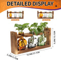 Terrarium Skull Propagation Vases Set of 3, Borosilicate Glass with Wood Stand