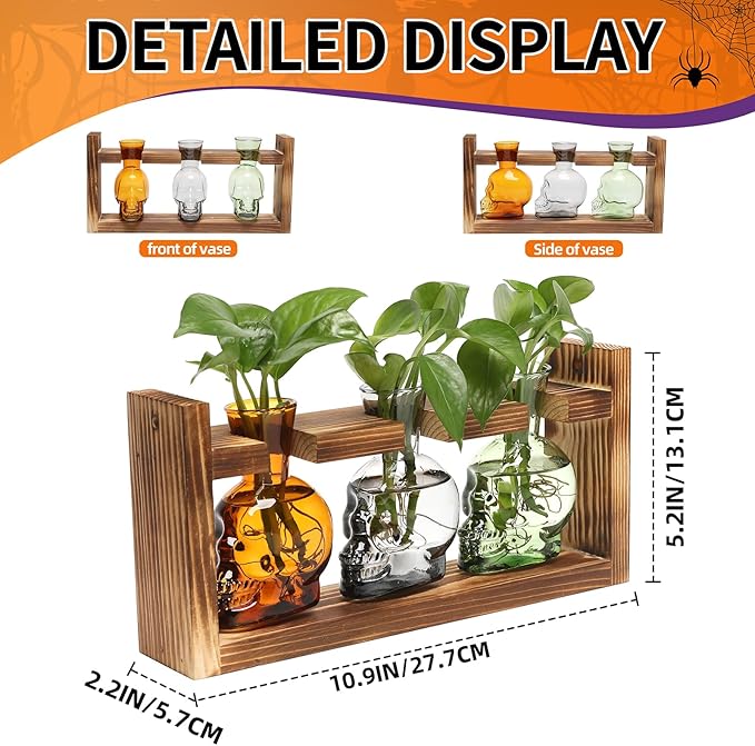 Terrarium Skull Propagation Vases Set of 3, Borosilicate Glass with Wood Stand