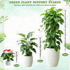 Stackable Monstera Moss Pole - 10 PCS Coir Plant Support Stakes for Indoor Plants, Bendable Totem Pole for Climbing Vines, Money Plant | Durable Indoor Plant Stakes (10 Pack)