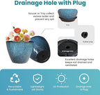 2 Pack Plastic Plant Pots with Drainage Holes, 8 inch Planter for Indoor Outdoor Plant, Garden Flower Pots for Aloe, Herbs, Cactus(Blue, 2pcs)