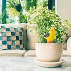 4 Pack Self Watering Bird Shaped Globes, Terracotta Vacation Planters Devices with Slow Release Automatic Watering Spikes, Plant Watering Pots for Indoor and Outdoor Potted Plant