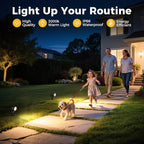 L LOHAS LED 5W Low Voltage Landscape Lighting, 12V 24V Outdoor Spot Lights with Connectors, IP66 Waterproof 3000K Warm White Plug in Spotlights for Yard, Garden, Pathway, House (6 Pack)