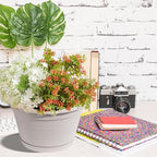 VIDELLY 4 Pcs Hanging Planters,10" Hanging Pots Plastic Hanging Flower Plant Basket with Drainage Trays & Chain Holder for Outdoor Indoor Plants Garden Balcony Decoration, Light Gray