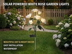 Solar Garden Rose Lights by FANCYPOP, 2 Pack Most Realistic 12 LED Flower Stake Lights, IP65 Waterproof 7 Color Changing Solar Decor for Walkway/Graveyard, Heartwarming Gifts for Grandma & Mom, White