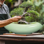 Ceramic Bonsai Pots - Large Succulent Planter 18 Inch Plant Pot Indoor Succulent Pot with Drainage Hole Outdoor Planter Bonsai Tree Pot for House Home Garden Decor Green