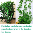 Plant Climbing Wall Fixture Clips, 80Pcs Self-Adhesive Wall Clips Fixer Hooks for Vines, Traction Support Holder, Invisible Leaf Clips for Wall Climbing Plants Indoor Outdoor Decor