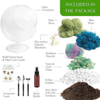 Glass Terrarium Kit with Oval Modern Design and Reindeer Moss