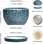 SQOWL 8 inch Plant Pot - Ceramic Pots for Plants Indoor, Decorative Plant Pot with Drainage Hole and Saucer, Ceramic Flower Pots Outdoor, Round Planter, Living Room Decor, Garden Gifts for Women, Blue