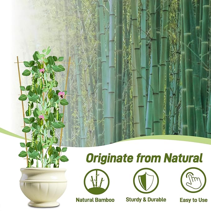 Avalution 10 Pack Bamboo Trellis for Climbing Plants, 3 FT Garden Ladder Trellis for Potted Plants Indoor, Fan-Shaped Small Plant Support Trellis for Houseplants Ivy Hoya Vine Monstera