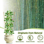 Avalution 10 Pack Bamboo Trellis for Climbing Plants, 3 FT Garden Ladder Trellis for Potted Plants Indoor, Fan-Shaped Small Plant Support Trellis for Houseplants Ivy Hoya Vine Monstera