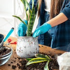 6 Inch Ceramic Plants Pots Vintage Ceramic Flower Planters Crackle Glaze Finish Flower Pots Decorative Floral Vintage Planters for Living Room Garden Home Decor Gifts(Cute)