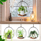 Geelin 2 Pack Plant Hanger with Wood Base Hanging Window Planter Boho Macrame Hanging Plant Holders for Window Indoor Outdoor Room Ceiling Home Decorations (Brown)