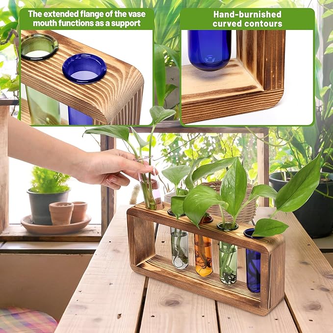 Terrarium Propagation Station with Wood Base and 5 Glass Test Tubes