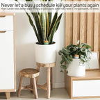 Ollas Plant Watering Globes - Terracotta Self Watering Planter Insert - Automatic Water Bulbs for Indoor/Outdoor Plants - Easy Refill System - Set of 4