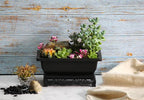 Bonsai Planter Rectangular Brown Plastic 7.5 Inch with Stand