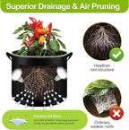6-Pack 5 Gallon Grow Bags - 300G Heavy Duty Aeration Fabric Pots with Handles,Thickened Nonwoven Planter Bags for Vegetables Flowers Fruits