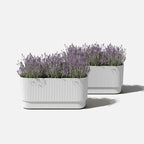 Veradek Demi Series Long Planter for Porch, Patio, Backyard | Durable Plastic-Stone Composite Material | Modern Décor for Shrubs, Flowers