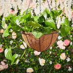 Hanging Baskets Planter for Plants - 2 Pack 14 Inch Metal Baskets with Coco Coir Liner, Hanging Flower Pots for Outside with Chain, Indoor Outdoor Garden Porch Decoration (14'' Pack of 2)