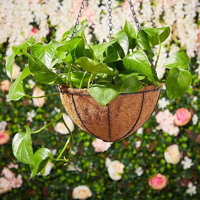 Hanging Baskets Planter for Plants - 2 Pack 14 Inch Metal Baskets with Coco Coir Liner, Hanging Flower Pots for Outside with Chain, Indoor Outdoor Garden Porch Decoration (14'' Pack of 2)