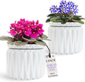 6 Inch African Violet Pots Self Watering, Ceramic Planter with Water Reservoir and Fill Lines, 4 Inch Opening, Indoor Flower Pot, Holds 3 Weeks of Water (2 Pack White)