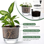 6 Pcs Clear Self Watering Pots for Indoor Outdoor Plants Flowers, 2 Each of 4, 5 and 6 Inch Self Watering Planters with Reservoir, Drainage Hole and Absorbent Cotton Rope