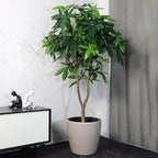 Dexceder 18x17 Self Watering Planter with Wheels Indoor Outdoor, Inner Pot Design, Thickened Large Floor Standing Flower Plant Pot with Water Level Indicator (Taupe Matte)