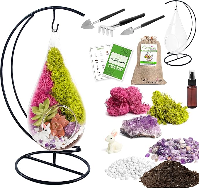 Teardrop Terrarium Kit with Stand, Moss & Pebbles