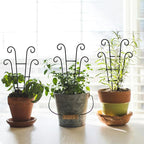 Coomin Small Plant Trellis for Climbing Plants Indoor, 14.5in Metal House Plant Trellis for Potted Plants, Mini Plant Support for Hoya Pothos, Black