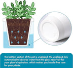 D'vine Dev 4 Inch Design Self Watering Planter for Indoor Plants, White Terracotta Pots with Cylinder Glass Cup, Set of 3, 37-Z-A-2-T