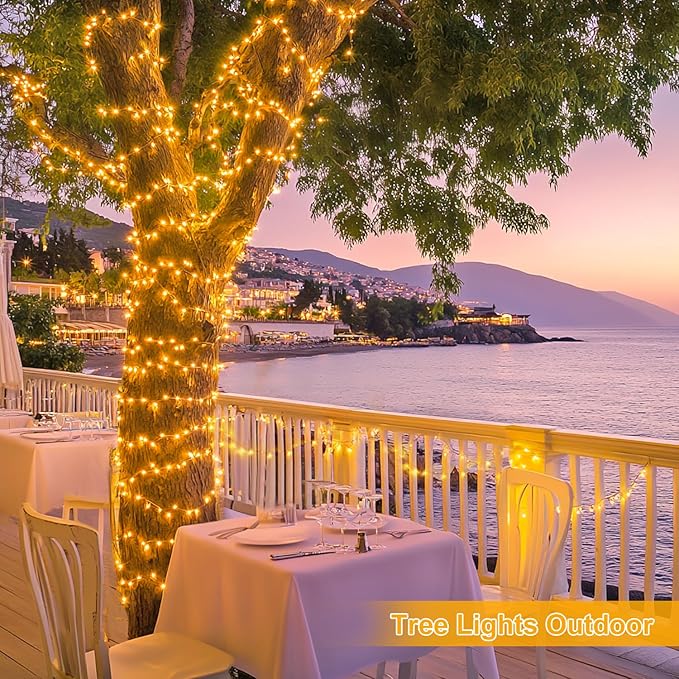 String Lights 272 Ft 1000 Warm White LEDs with Remote and 8 Modes