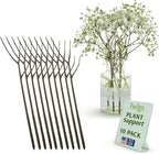 Plant Support Stakes for Indoor & Outdoor Use, Durable Trellis Alternative for Climbing & Potted Plants, Houseplant Stem Holder Structures - Moonstone, 10 Pack, 22" L, Original