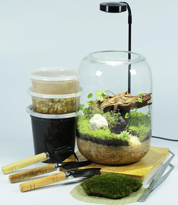 Terrarium Jar Set with Grow Light and Tools for Succulents