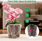 5 Inch Side-Open Orchid Pots 12 Pack, Clear Plastic Nursery Planters with Detachable Side Walls for Easy Repotting, Breathable Slotted Flower Pots with Drainage for Root Health