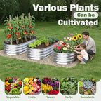 Galvanized Raised Garden Bed Outdoor, 4x2x1ft Metal Heavy Duty Planter Boxes for Gardening, Easy Assemble Small Oval Plant Container Kit for Vegetables, Flowers, Fruits, Silver, 1 Pack