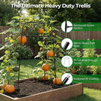 Garden Arch Trellis for Climbing Plants, 83" High Metal Cucumber Trellis & Tomato Cage, Rustproof Steel Tunnel Support for Squash, Pumpkin, Vegetables with Screw Fixation (32.3" L x 39.4" W)