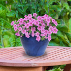 Sunnydaze Large Ceramic Plant Pot - Round Outdoor Glazed Ceramic Planter Pot with Drainage - Studio - Imperial Blue - 18.5"