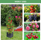 MQUPIN Tomato Planter Box with Trellis for Garden, 57 Inch Self-Watering Raised Garden Bed, Patio Tomato Cage for Climbing Vegetables & Flowers, Upgraded Tomato Pot for Indoor Outdoor Use (4 Pack)