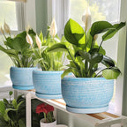 SQOWL Ceramic Planters for Indoor Plants - 6 Inch Plant Pot Indoor Outdoor, Decorative Flower Pot with Drainage Hole and Saucer, Round Succulent Planter, Home Apartment Decor, Garden Gifts, Blue